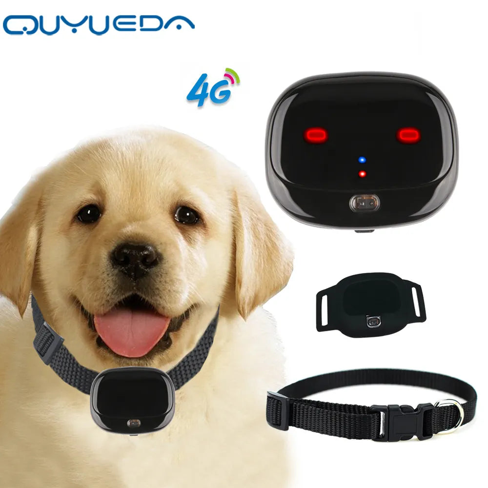 Mini 4G Pet GPS Tracker Waterproof Dog GPS Collar With Dazzle Lights Animal Locator Support Geo-Fence Low Battery Alarm WIFI